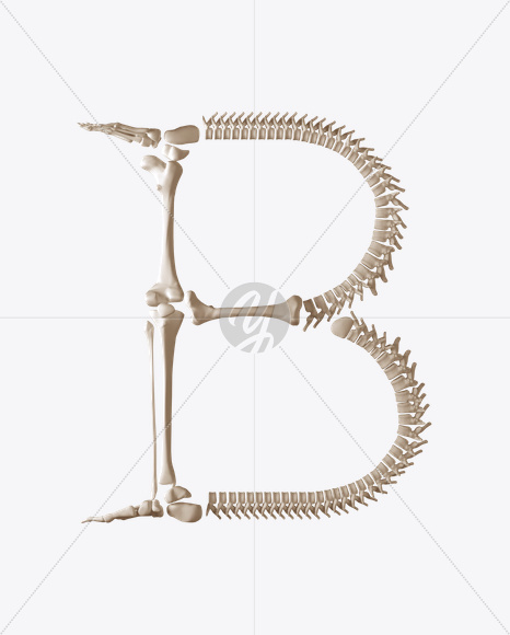 B