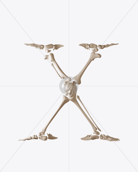 X