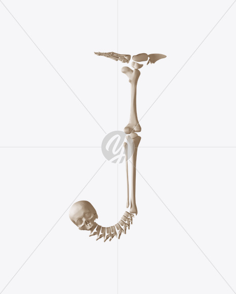 J