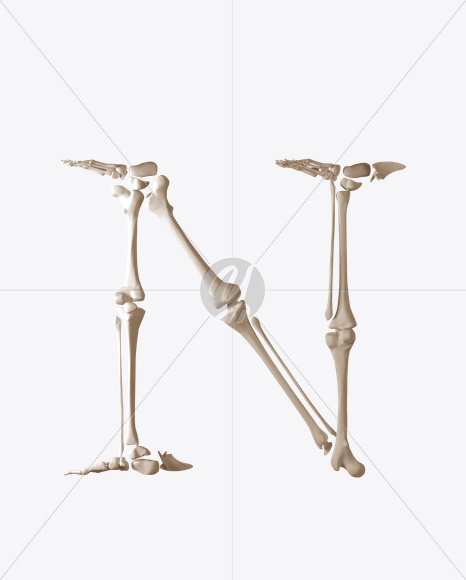 N