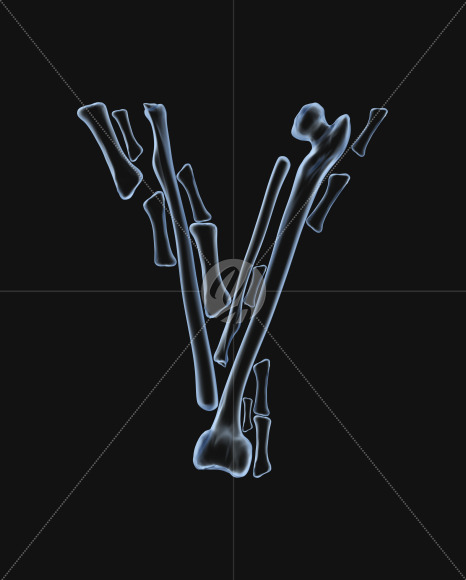 Y
