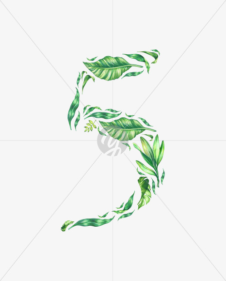 5