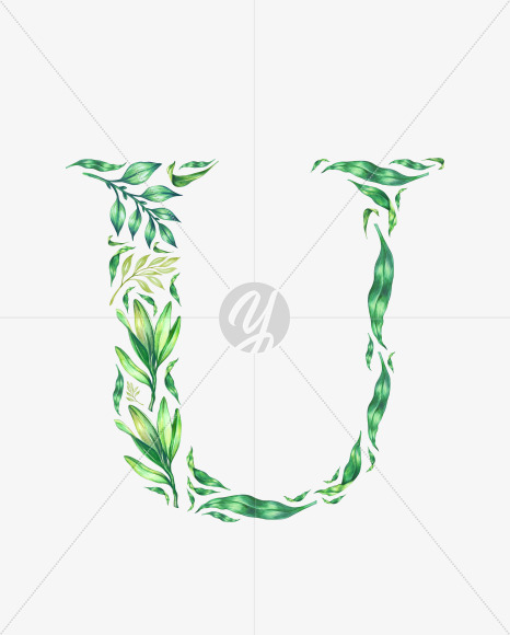 U