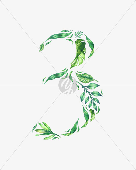 3
