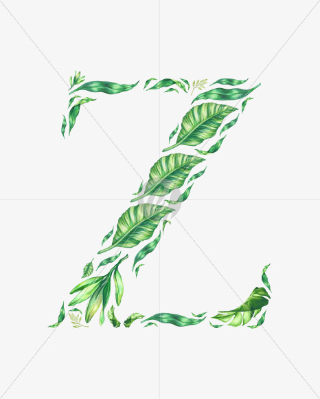 Z