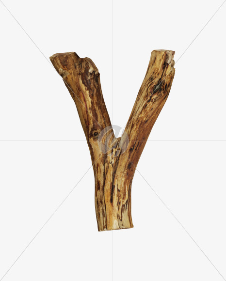 Y
