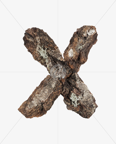 x