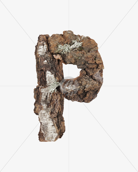 p