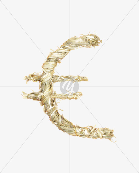 euro