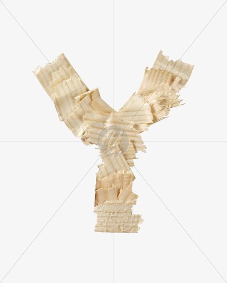 Y
