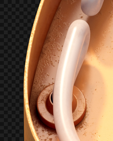 Q