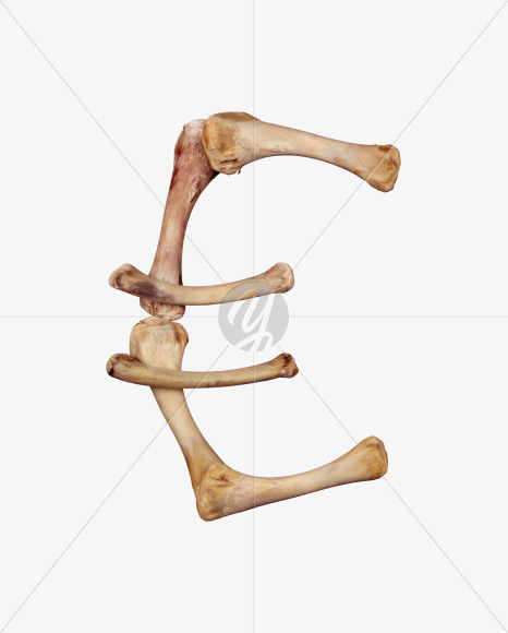euro