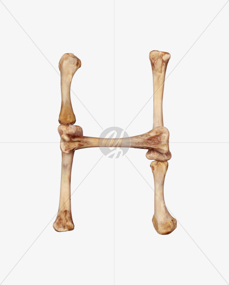 h