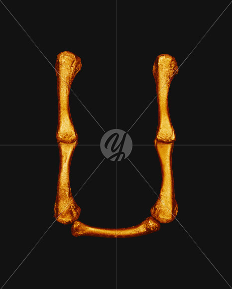 u