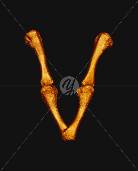 v