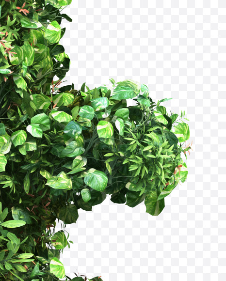 green_plant_04
