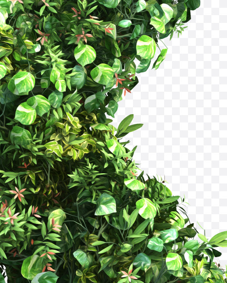green_plant_lowercase_x
