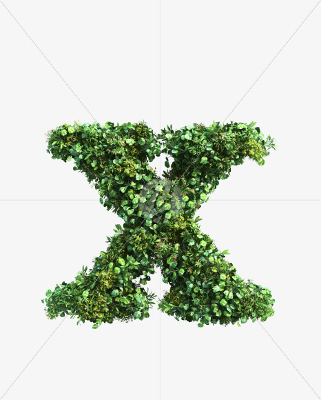 green_plant_lowercase_x