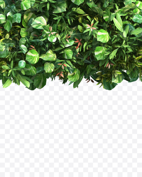 green_plant_01