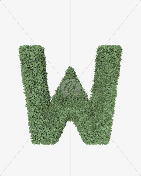 W
