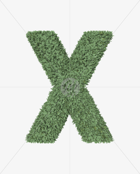 X