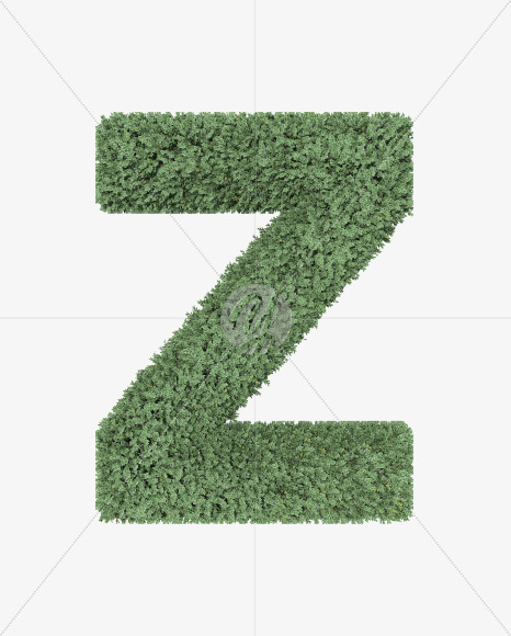 Z
