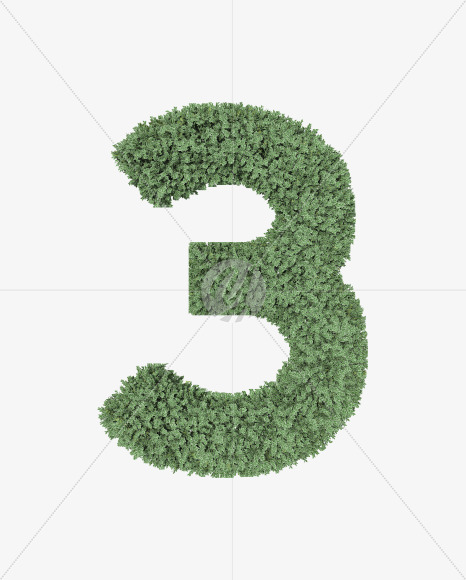 3