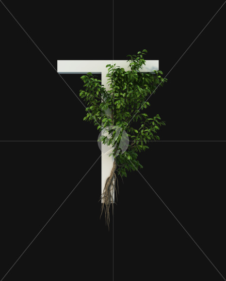 T