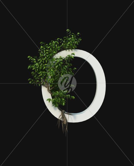 o