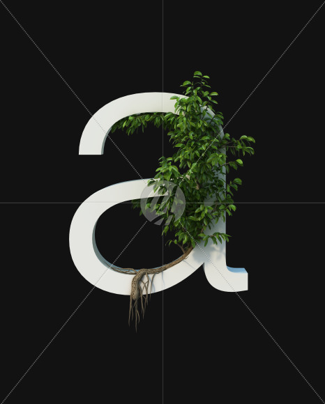 a