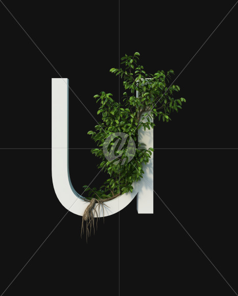 u