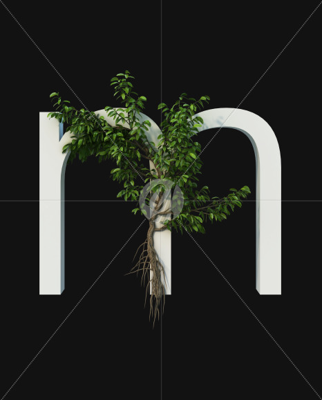 m