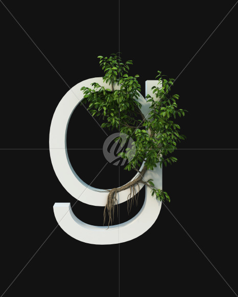 g