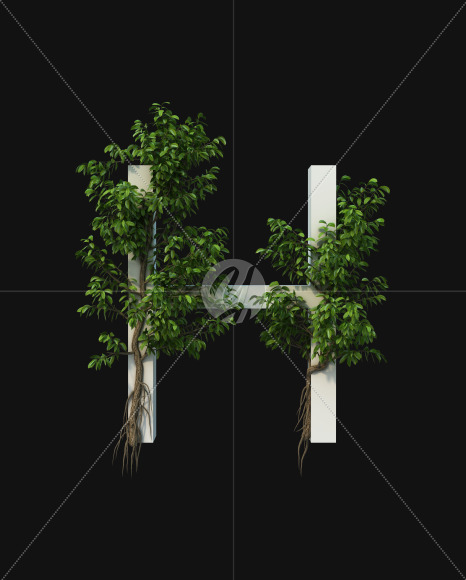 H