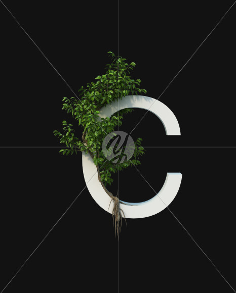 c