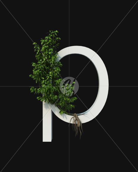 p
