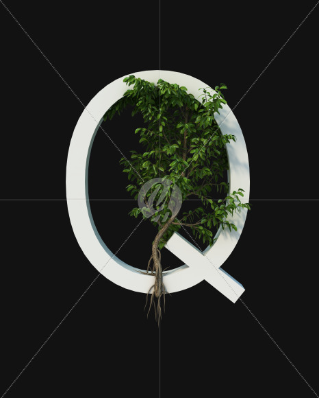 Q