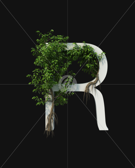 R