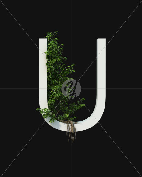 U