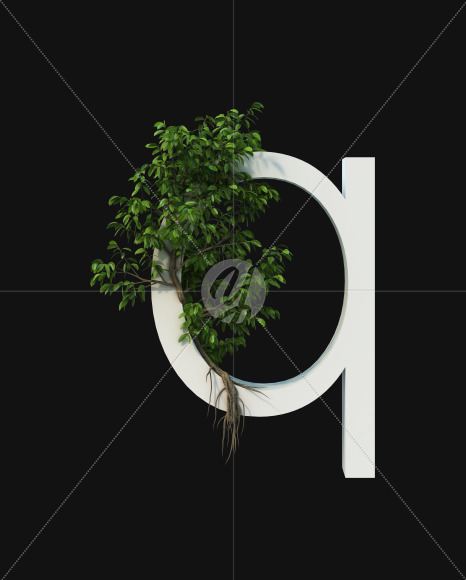q