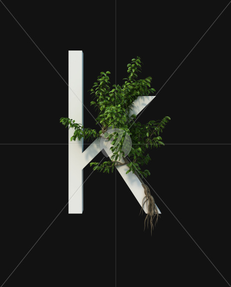 k