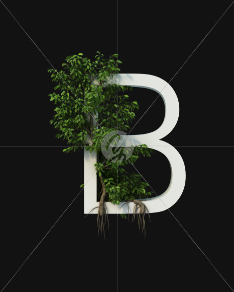 B