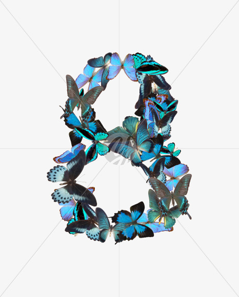 8