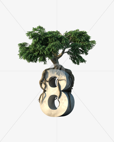 8