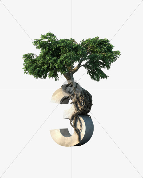 3