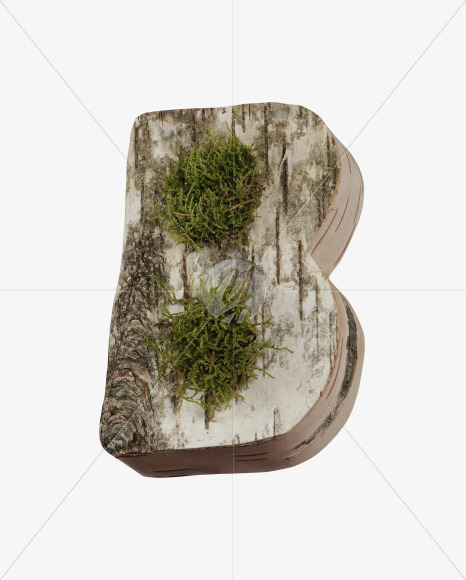 B with moss