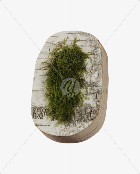 O with moss
