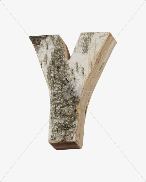 Y