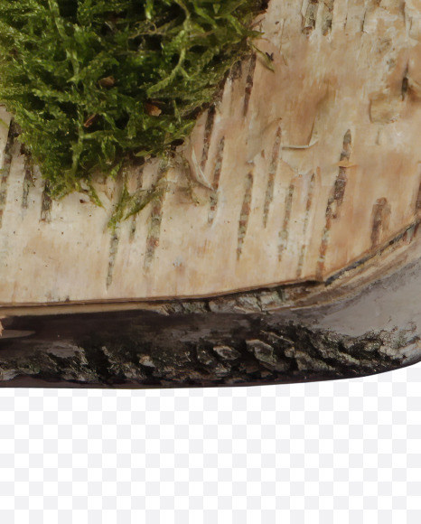 D with moss