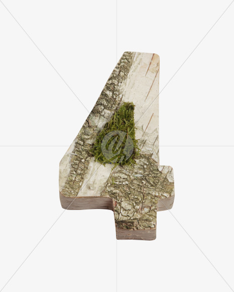 4 with moss